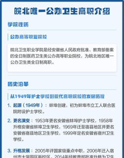 皖北卫生职业学院院校代码