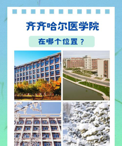 齐齐哈尔医学院在哪里