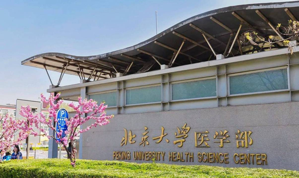 北京大学医学部在哪里