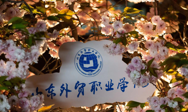 山东外贸职业学院正规吗