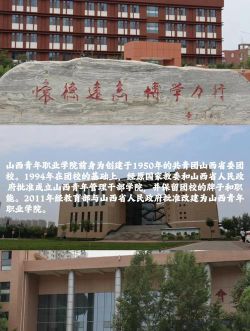 山西青年职业学院正规吗