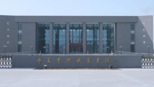 宁夏艺术职业学院是985还是211