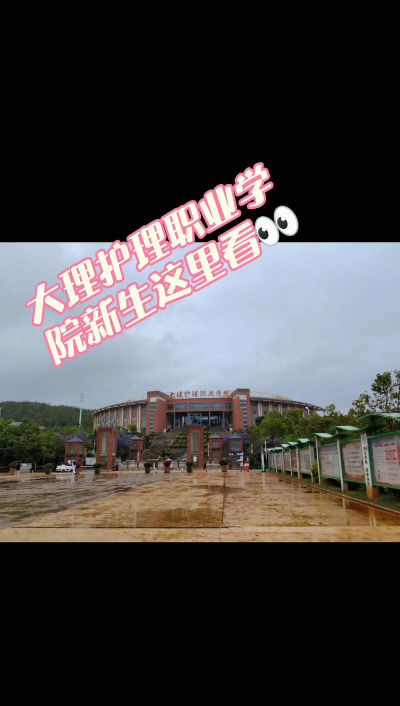 大理护理职业学院是985还是211