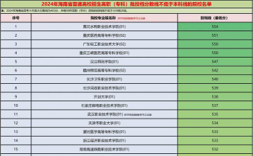 海南软件职业技术学院2024各省录取分数线汇总：最低161分可录取