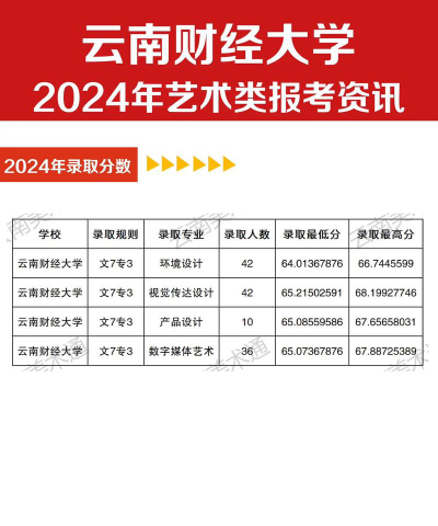 云南财经大学2024艺术生录取分数线