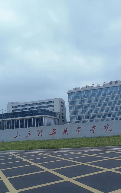 山东理工职业学院是985还是211