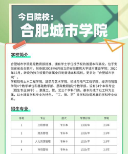 合肥城市学院是985还是211