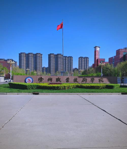 沧州职业技术学院是985吗