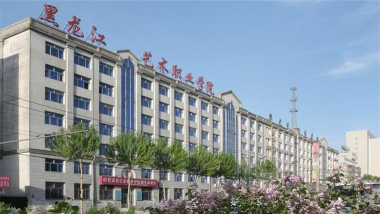 黑龙江艺术职业学院是985吗