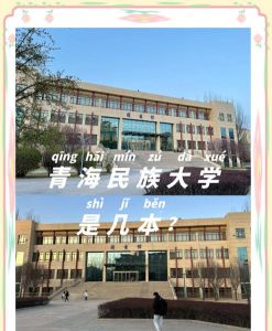 青海民族大学是公办还是民办