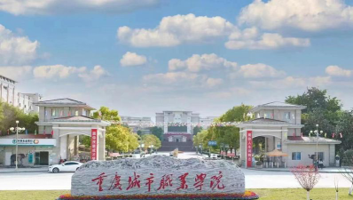 重庆城市职业学院是公办还是民办
