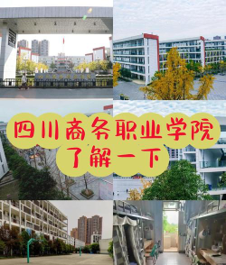 四川商务职业学院是公办还是民办