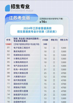 江苏电子信息职业学院是一本吗