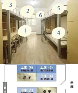 中南林业科技大学涉外学院宿舍条件怎么样