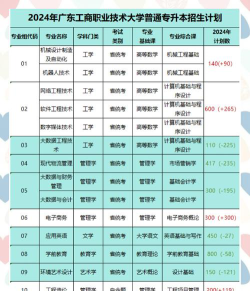 2024湖南首选物理多少能上广州工商学院