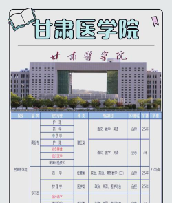 甘肃医学院的学校代码是什么