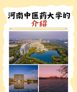 河南中医药大学地址在哪里