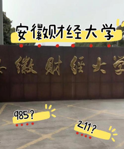 安徽财经大学是一本吗