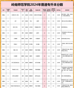 2024江西考生多少分能上岭南师范学院