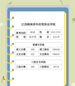 2024江西考生多少分能上江西枫林涉外经贸职业学院