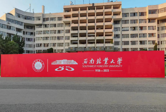 2024湖南首选历史多少能上西南林业大学