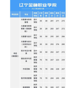 2024江西考生多少分能上辽宁金融职业学院
