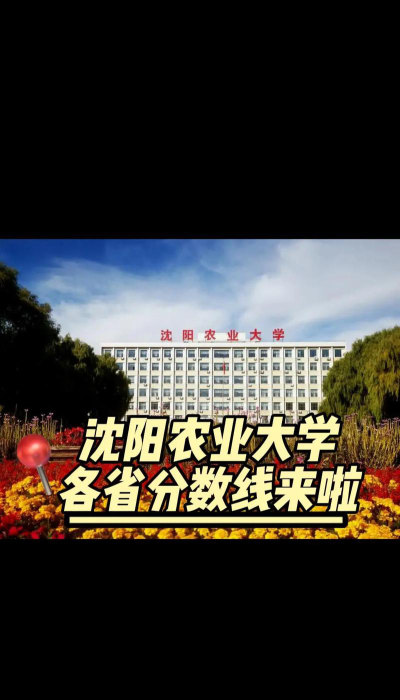 2024年沈阳农业大学各省最低录取分数线