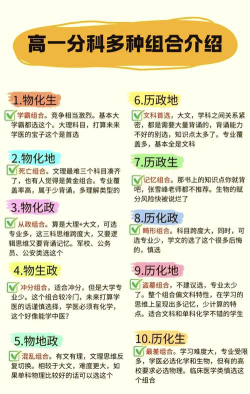 高中文理怎么选专业