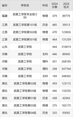 武昌工学院2024年各省录取分数线