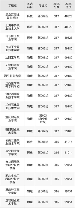 2025年历史类316分能够报什么大学