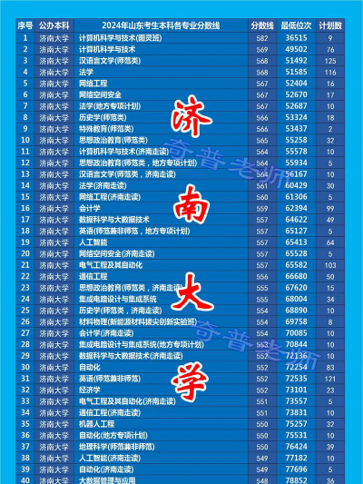 2024济南大学在山东中外合作办学分专业录取分数线