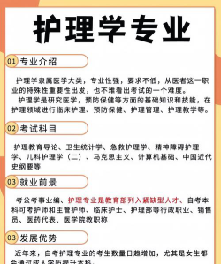 护士里的专业怎么选