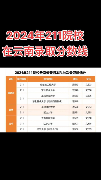 2025年云南211分能考上哪些大学