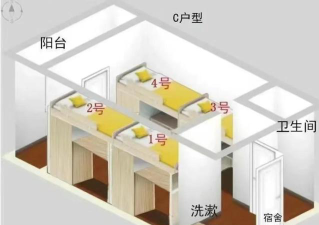 在宿舍找工作怎么选专业