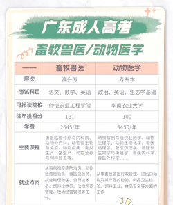 男生选兽医专业怎么样