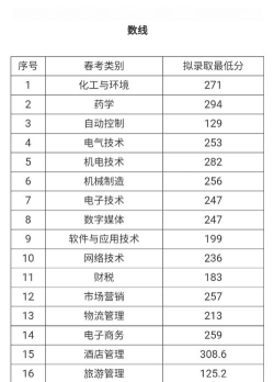 山东化工职业学院2024单招分数线