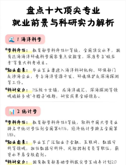 非科研类专业就业前景