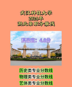 2025年高考湖北315分左右能报什么大学