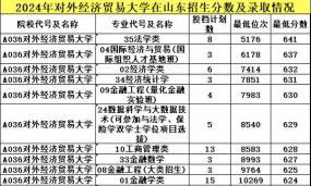 2024年对外经济贸易大学各专业在山东录取分数线