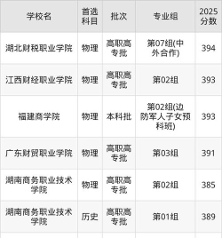 2025年高考湖北390分左右能报什么大学