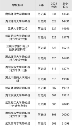 2025年高考湖北522分左右能报什么大学