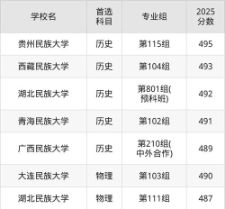 2025年高考湖南490分左右能报什么大学