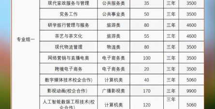 2024湘中幼儿师范高等专科学校艺术类招生计划
