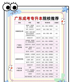 广东升本选择专业怎么选