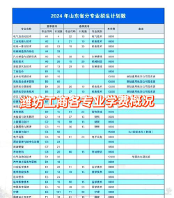 潍坊工商职业学院中外合作办学专业有哪些？