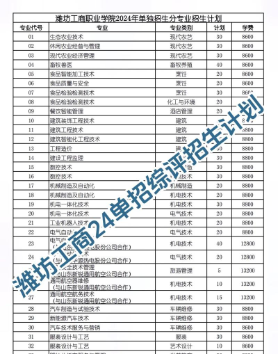 2024潍坊工商职业学院中外合作办学招生计划