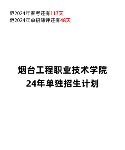 2024烟台工程职业技术学院艺术类招生计划