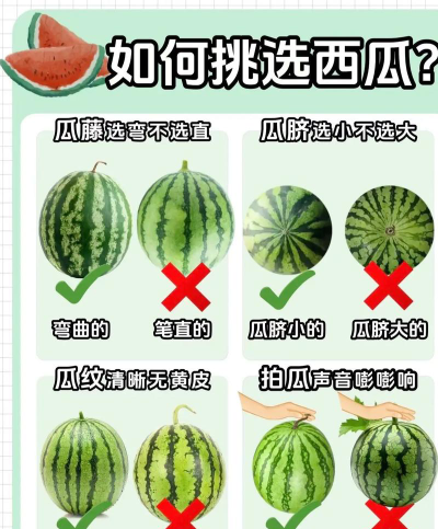 西瓜怎么选专业推荐女生