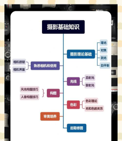 编导和摄影专业怎么选岗