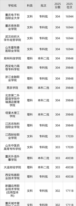 2025年303分能上大学吗